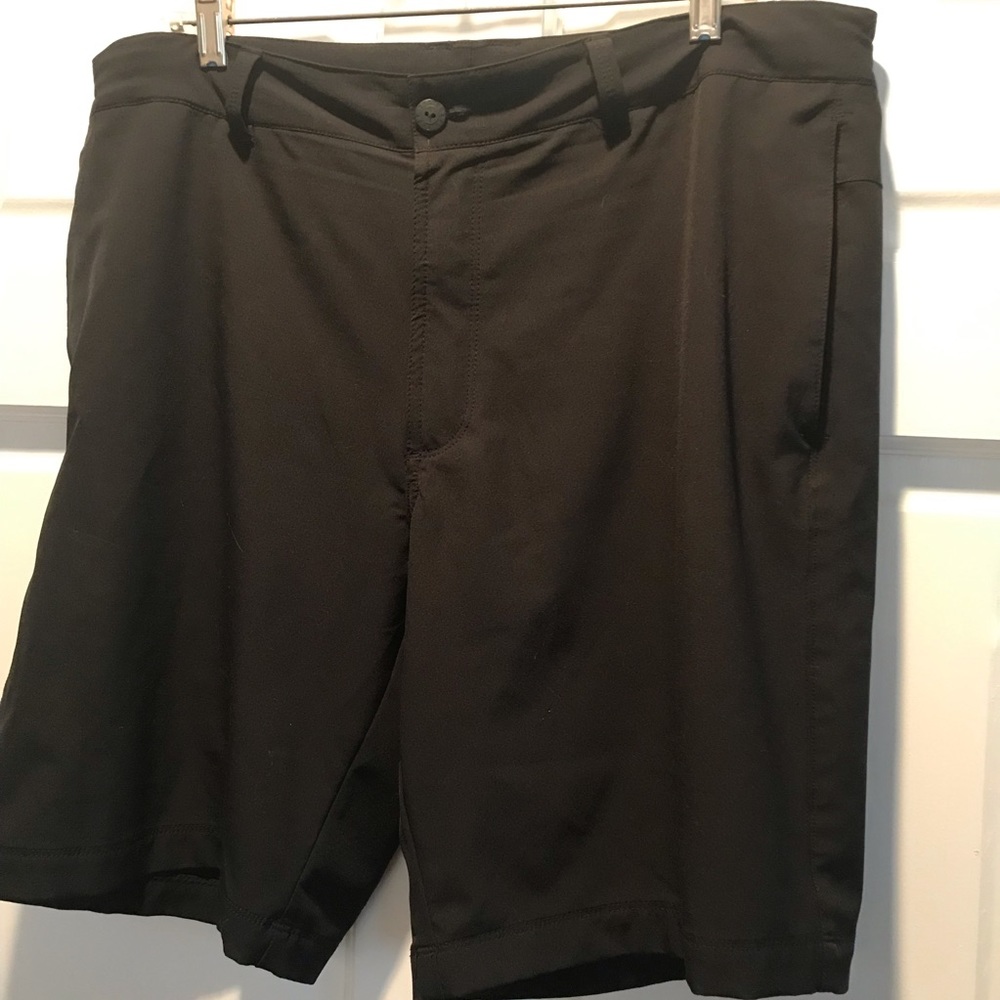 The North Face shorts